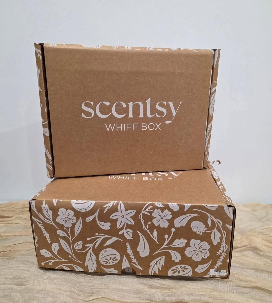 Step Into the Meadow: June’s Whiff Box Is Blooming with Fragrance