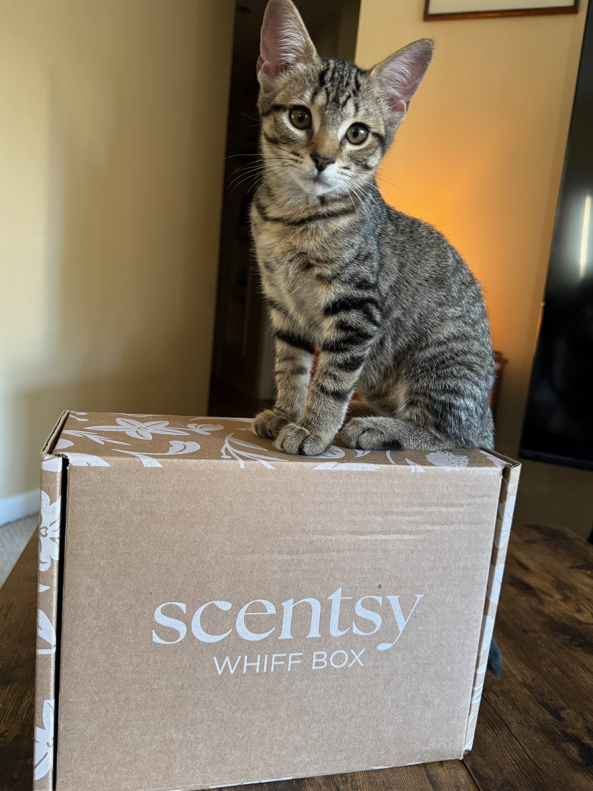July Whiff Box: Grazie, Sunshine ☀️