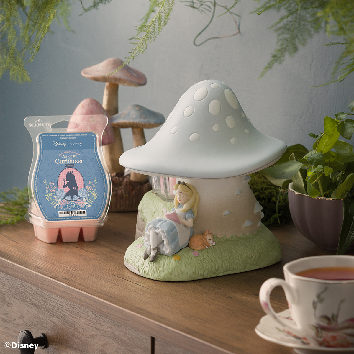 🐇 Curiouser and Curiouser! Disney Alice in Wonderland Comes to Scentsy