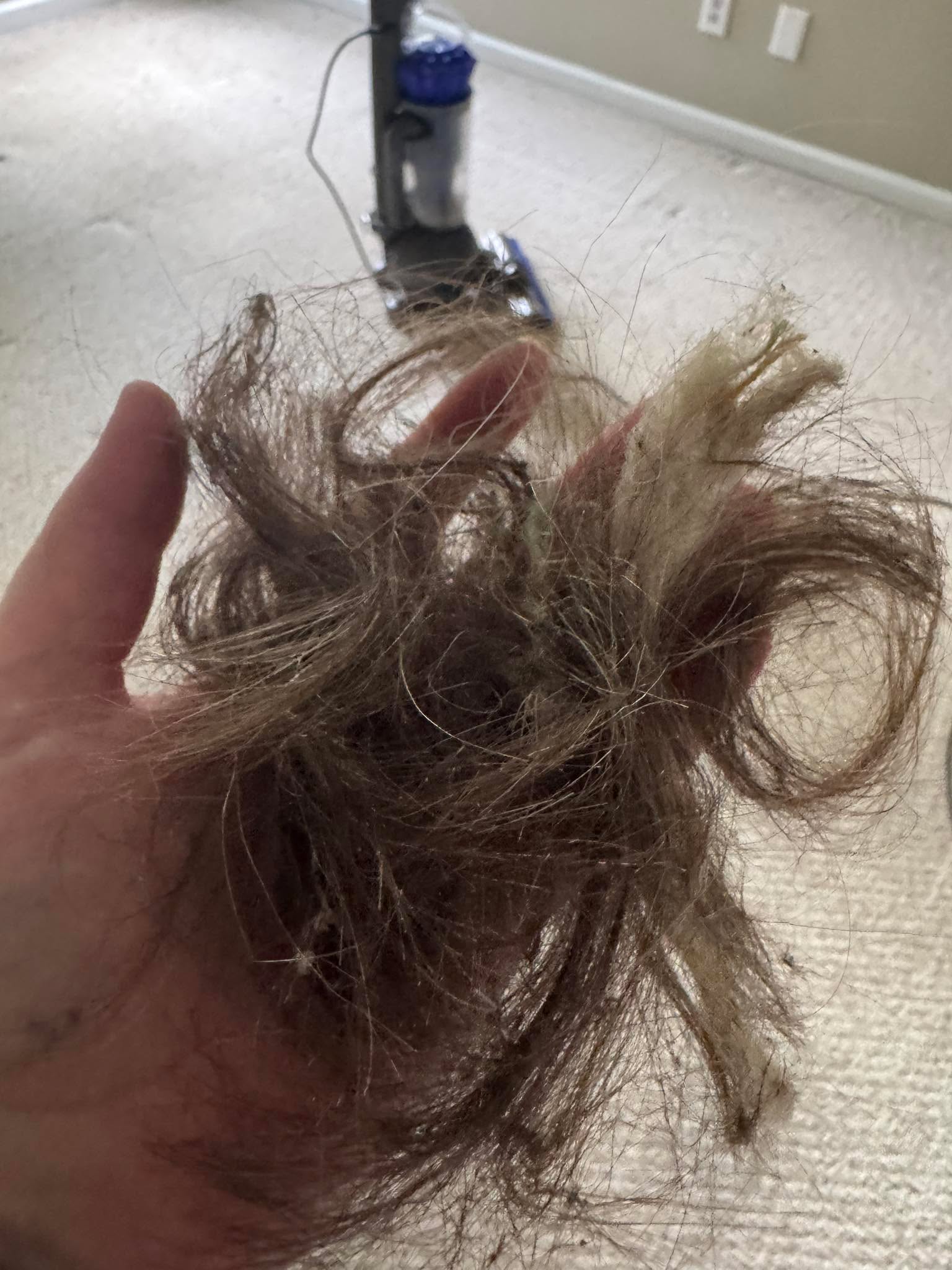 Anyone else wonder how they still have hair after cleaning out the vacuum roller?? 

It’s ridiculous!!