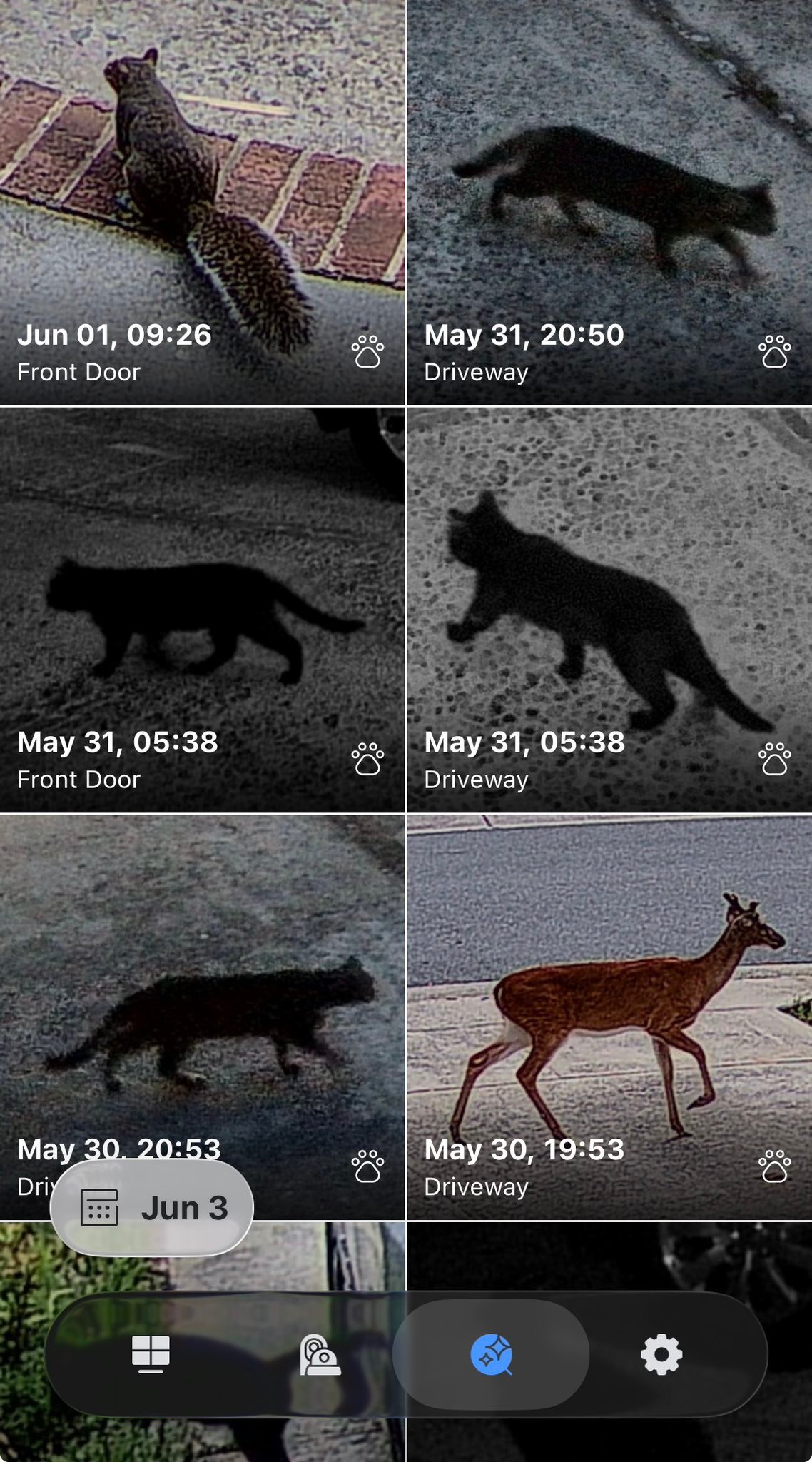 For living in a neighborhood like we do - we definitely have a pretty wide assortment of visitors…

Didn’t expect some of them 😂